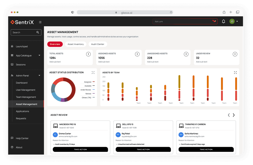 Software & Asset Management
